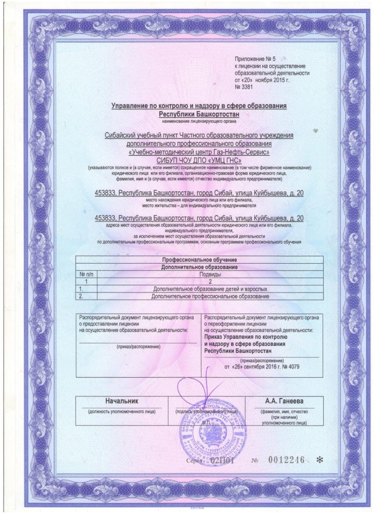 Приложение к лицензии Сибай